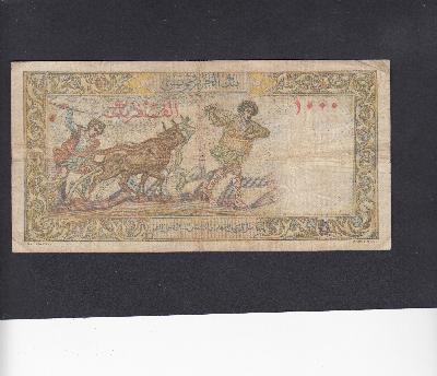 Beschrijving achterzijde: OXEN